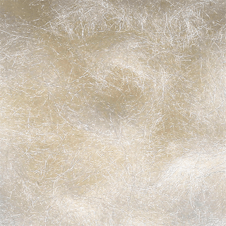 Arizona Synthetic Dubbing