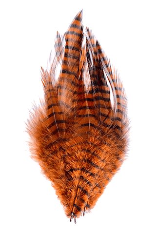 Barred Saddle Hackle