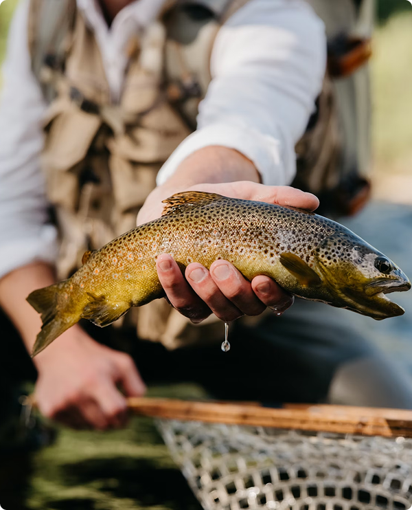 echo bravo lt fly reel ECHO BRAVO LT REEL – Winter Park Flyfisher